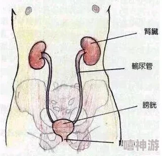 男女脱胱曰批的全过程进度更新：资源整合中敬请期待