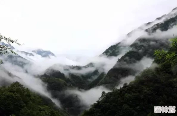 千山住宿攻略：探秘山间静谧与舒适之选