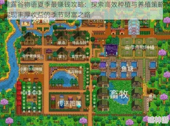 星露谷物语夏天作物种植攻略：哪种最赚钱深度解析